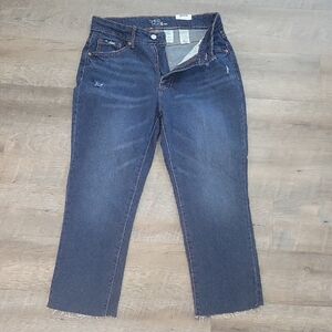 Time and Tru Dark Blue Ankle Jeans